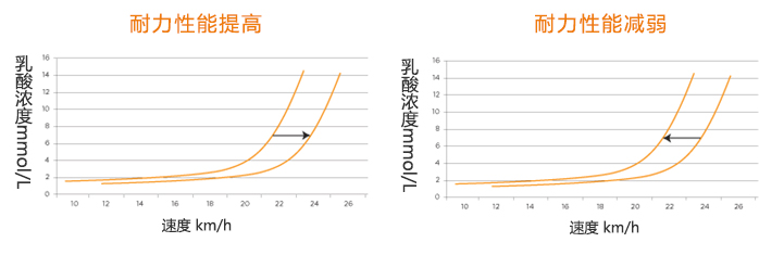 EKF便携式乳酸分析仪可以提供耐力性能