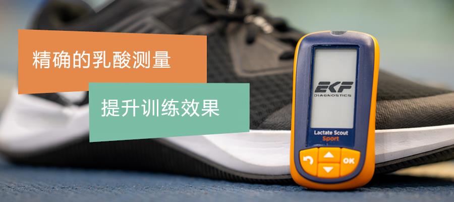 Lactate Scout Sport便携式乳酸分析仪